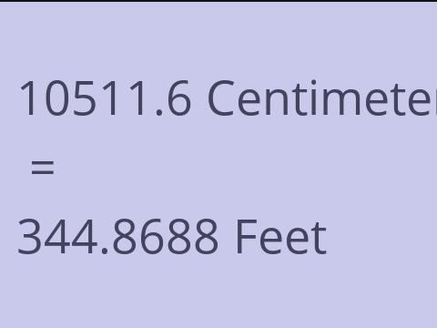 10511.6 CM TO FEET