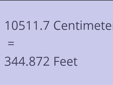 10511.7 CM TO FEET