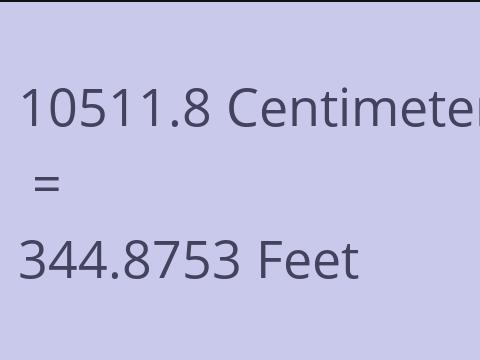 10511.8 CM TO FEET