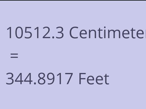 10512.3 CM TO FEET
