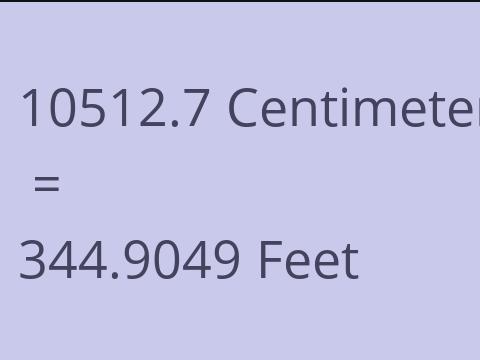 10512.7 CM TO FEET