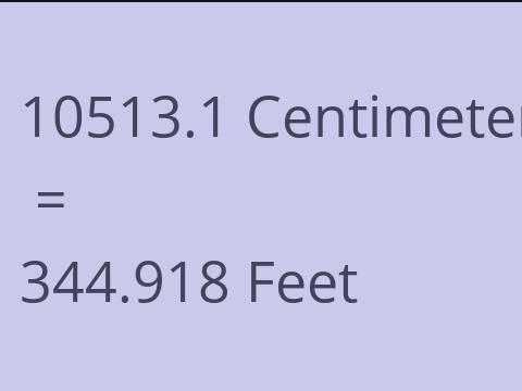 10513.1 CM TO FEET