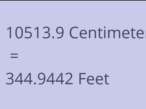 10513.9 CM TO FEET