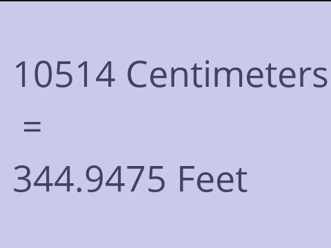 10514 CM TO FEET