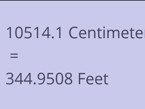 10514.1 CM TO FEET