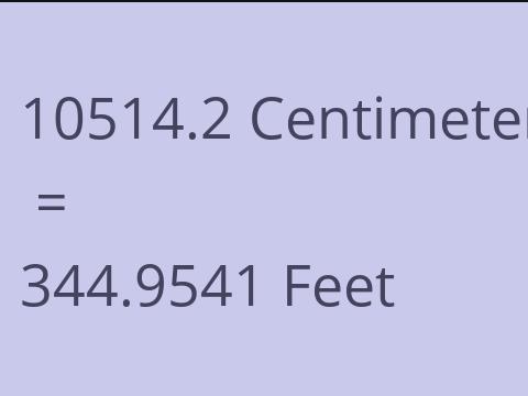 10514.2 CM TO FEET