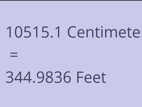 10515.1 CM TO FEET