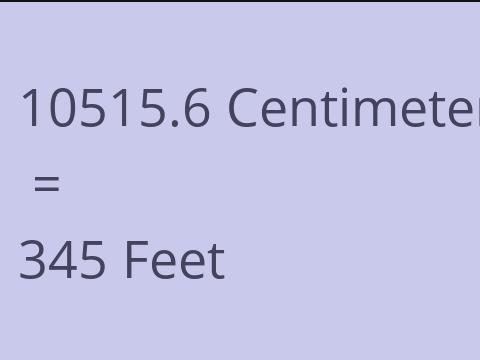 10515.6 CM TO FEET