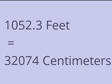 1052.3 FEET TO CM