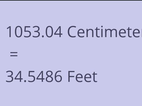 1053.04 CM TO FEET