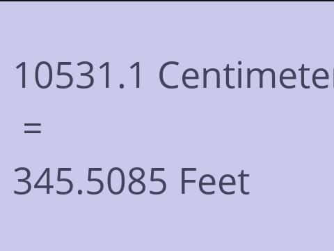 10531.1 CM TO FEET