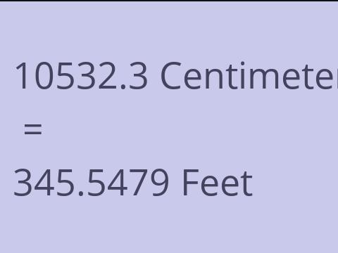 10532.3 CM TO FEET