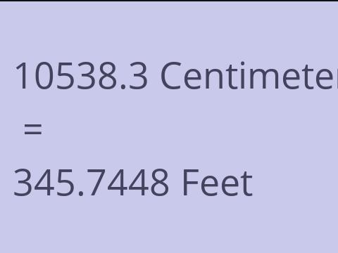 10538.3 CM TO FEET