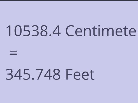 10538.4 CM TO FEET