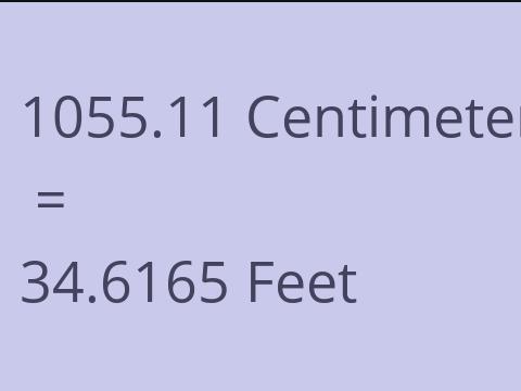 1055.11 CM TO FEET