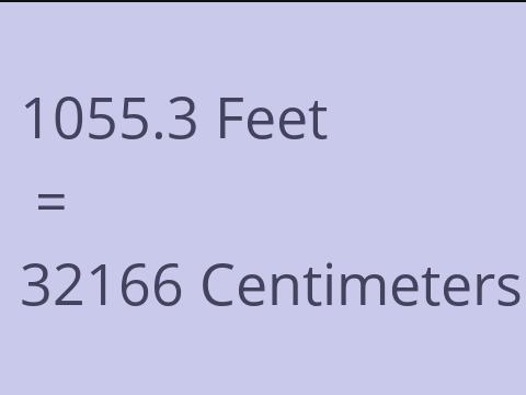 1055.3 FEET TO CM