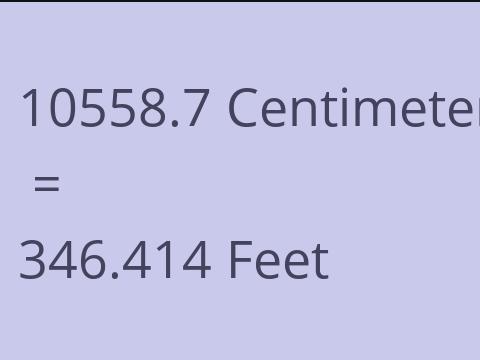 10558.7 CM TO FEET