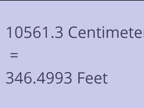 10561.3 CM TO FEET