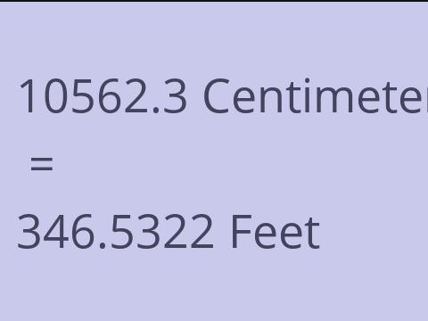 10562.3 CM TO FEET