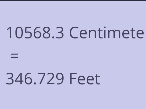10568.3 CM TO FEET
