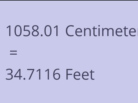 1058.01 CM TO FEET