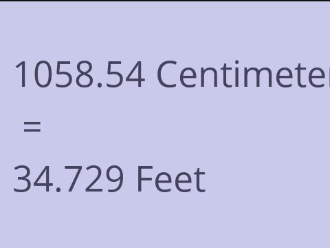 1058.54 CM TO FEET