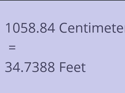 1058.84 CM TO FEET