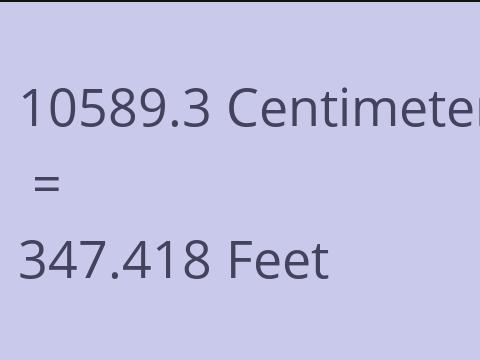 10589.3 CM TO FEET