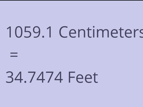 1059.1 CM TO FEET