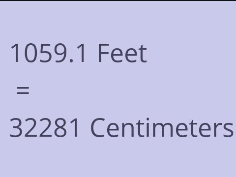 1059.1 FEET TO CM