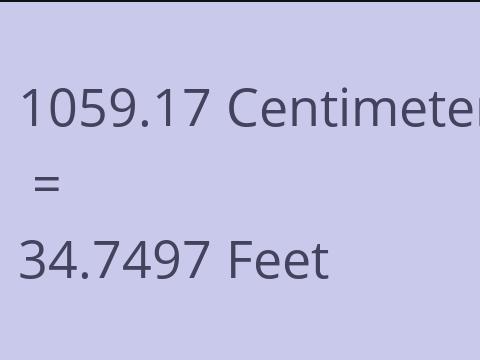 1059.17 CM TO FEET