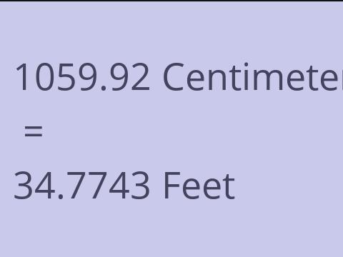 1059.92 CM TO FEET