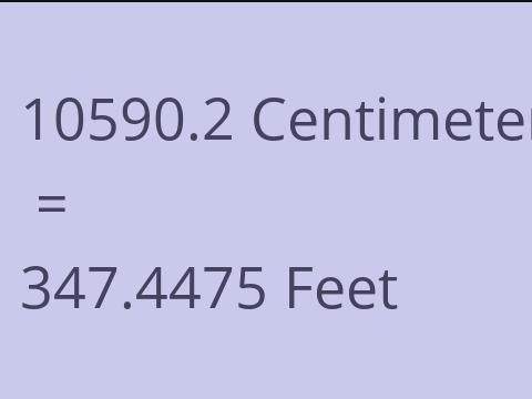 10590.2 CM TO FEET
