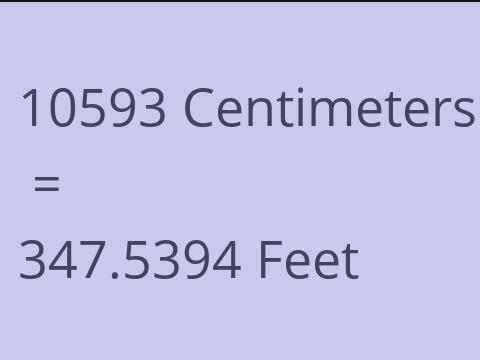 10593 CM TO FEET