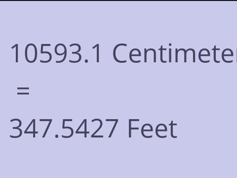 10593.1 CM TO FEET