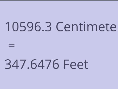 10596.3 CM TO FEET