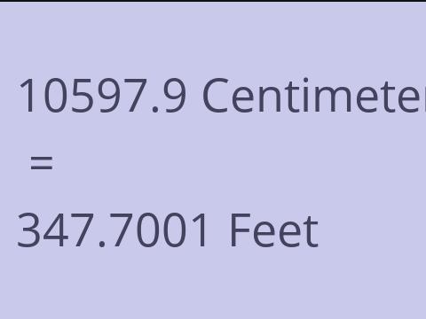 10597.9 CM TO FEET