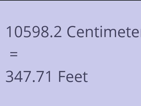 10598.2 CM TO FEET