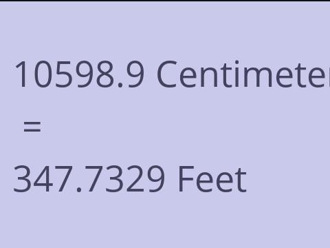 10598.9 CM TO FEET