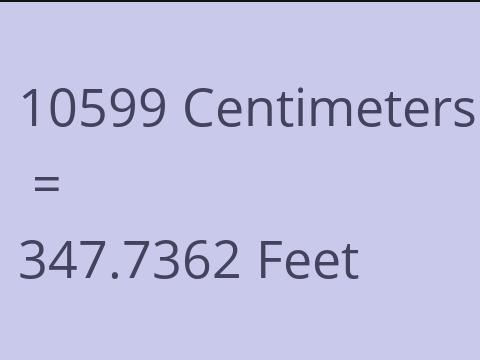 10599 CM TO FEET