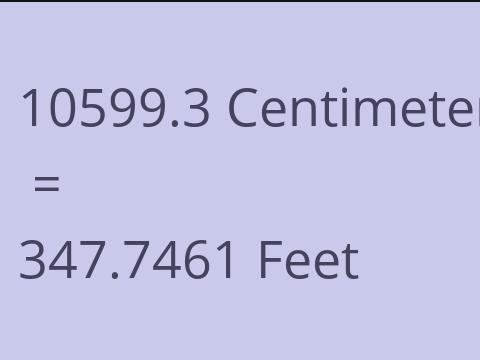 10599.3 CM TO FEET