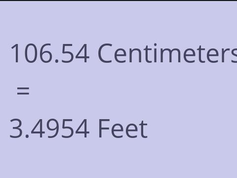 106.54 CM TO FEET