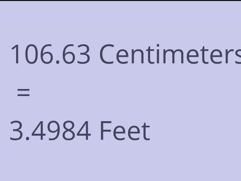 106.63 CM TO FEET