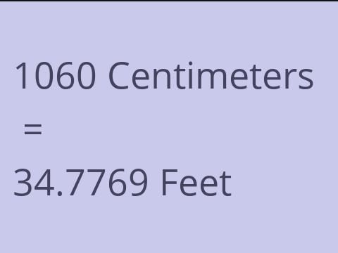 1060 CM TO FEET