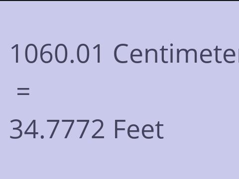 1060.01 CM TO FEET