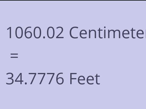 1060.02 CM TO FEET