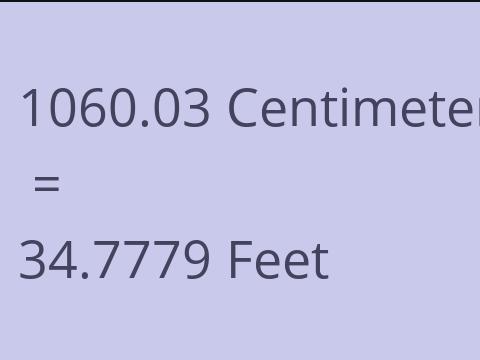 1060.03 CM TO FEET