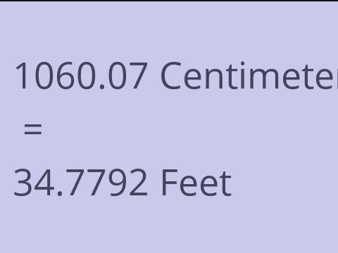 1060.07 CM TO FEET