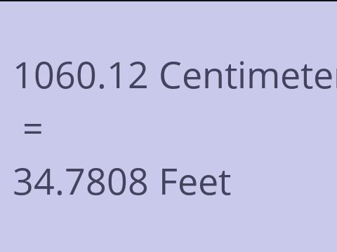 1060.12 CM TO FEET