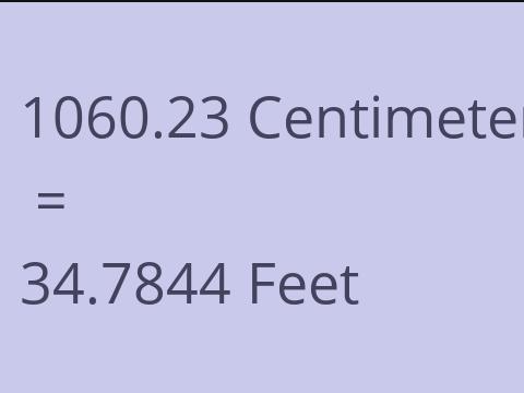 1060.23 CM TO FEET